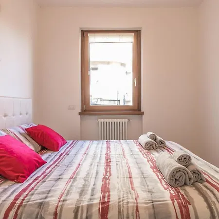Magnolia B -